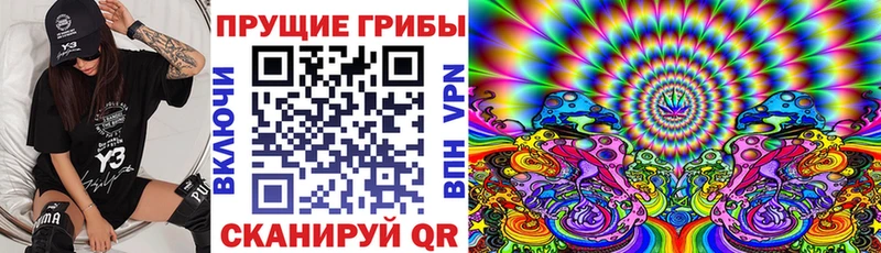 купить закладку  Колпашево  Галлюциногенные грибы GOLDEN TEACHER 